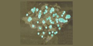 Kingdom Come Deliverance II interactive map filtered to show only Items markers