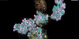 No Rest For The Wicked interactive map screenshot