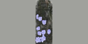 Stalker Clear Sky Enhanced Edition interactive map filtered to show only areas of Interest markers
