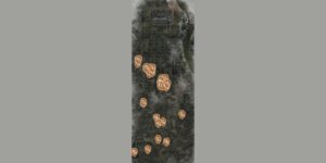 Stalker Clear Sky Enhanced Edition interactive map filtered to show only Concentration markers