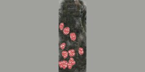 Stalker Clear Sky Enhanced Edition interactive map filtered to show only Hazards markers