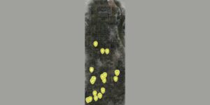 Stalker Clear Sky Enhanced Edition interactive map filtered to show only Npc markers