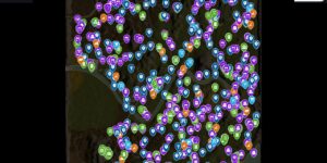 Surroundead interactive map screenshot