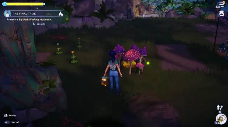 Chest - Requires the royal watering can upgrade to destroy the surrounding mushrooms.