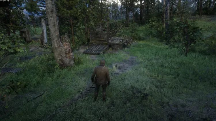 Red Dead Redemption 2 - American Dream