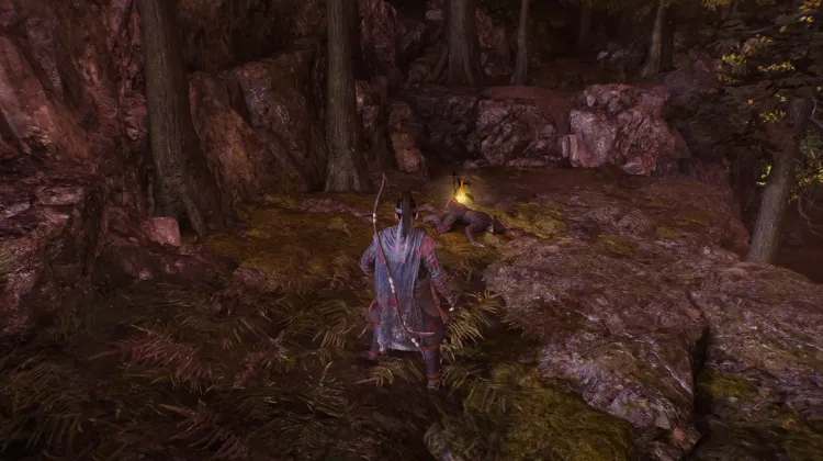 Nioh 3 Amrita - Provide Amrita along with various random items.