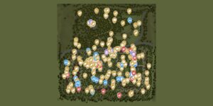 Agefield High Rock The School interactive map screenshot
