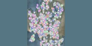 Assassins Creed Shadows interactive map screenshot