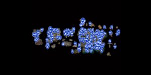 Baldurs Gate 3 interactive map filtered to show only Locations markers