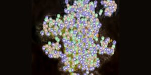 Far Cry Primal interactive map screenshot