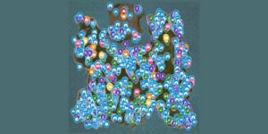 HumanitZ interactive map screenshot