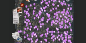 Need For Speed Unbound interactive map filtered to show only Challenge markers