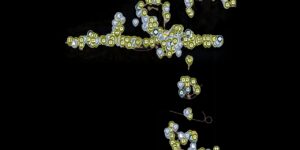 Resident Evil 4 interactive map screenshot