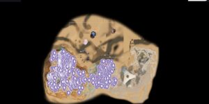 Subnautica 2 interactive map filtered to show only Copper markers