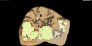 Subnautica 2 interactive map filtered to show only Flora markers