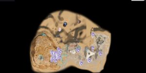 Subnautica 2 interactive map filtered to show only Gold markers