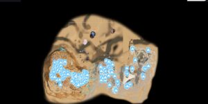 Subnautica 2 interactive map filtered to show only Hazard markers