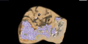 Subnautica 2 interactive map filtered to show only Quartz markers