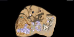 Subnautica 2 interactive map filtered to show only Salt markers