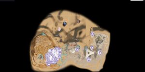 Subnautica 2 interactive map filtered to show only Sulfur markers