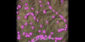 theHunter: Call of the Wild interactive map filtered to show only Need Zones markers