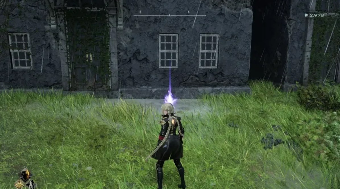 Tropical Coffee Beans – Coffee beans cultivated in tropical regions.